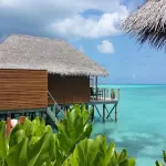 Come organizzare un viaggio di nozze solidale