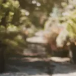 Consigli per la scelta di una fioriera