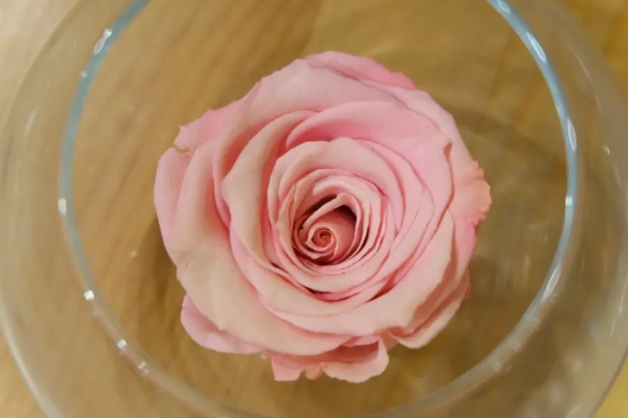 Bomboniere per Matrimonio? Scopriamo le idee con le rose stabilizzate